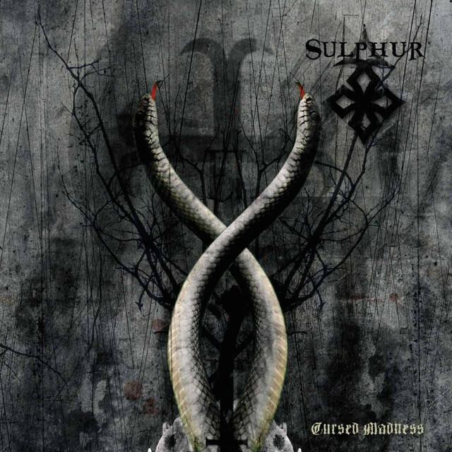 Cursed Madness album cover