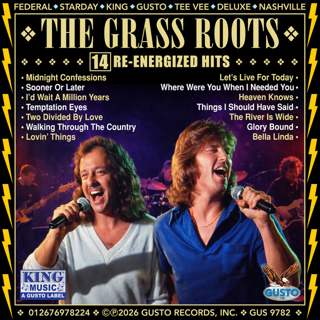 14 Re-Energized Hits album cover