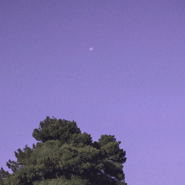 Unblemished Sky