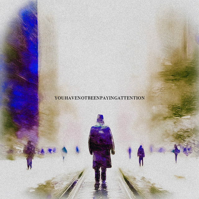 You Have Not Been Paying Attention. album cover