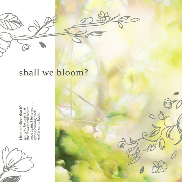 shall we bloom? album cover