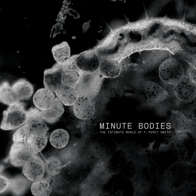 Minute Bodies: The Intimate World of F. Percy Smith album cover