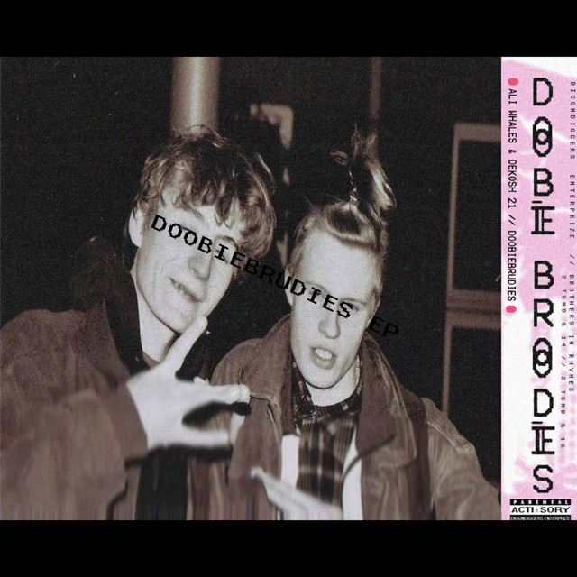 Doobiebrudies album cover