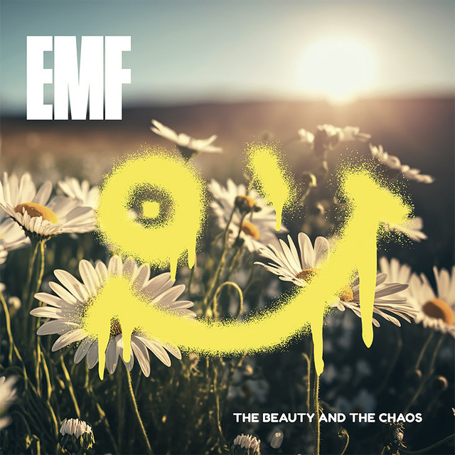 The Beauty and the Chaos album cover