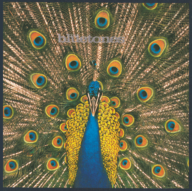 Expecting To Fly album cover