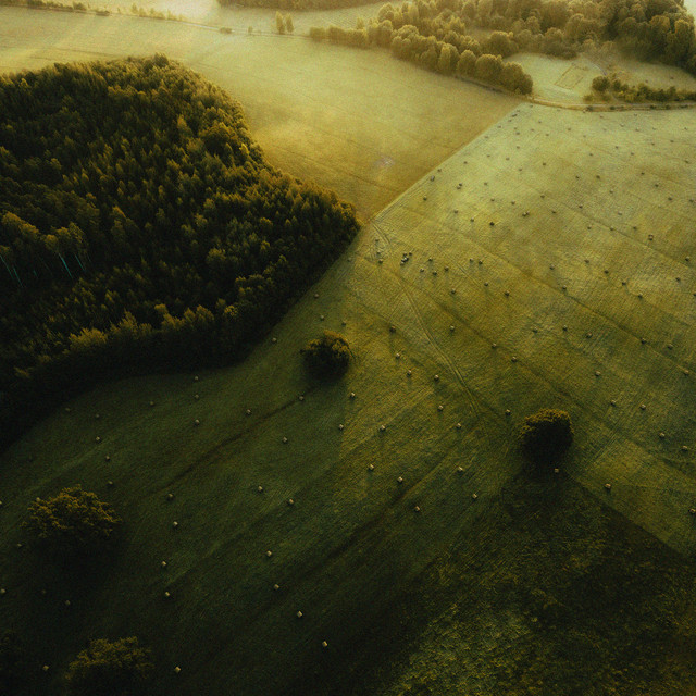 in an open field