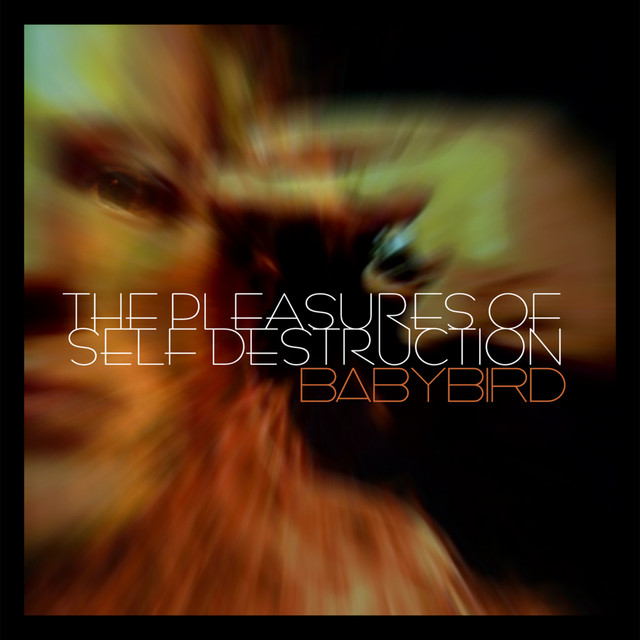 The Pleasures of Self Destruction album cover