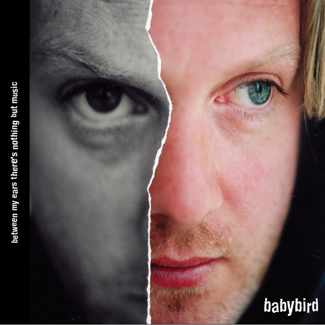 Between My Ears There's Nothing But Music album cover