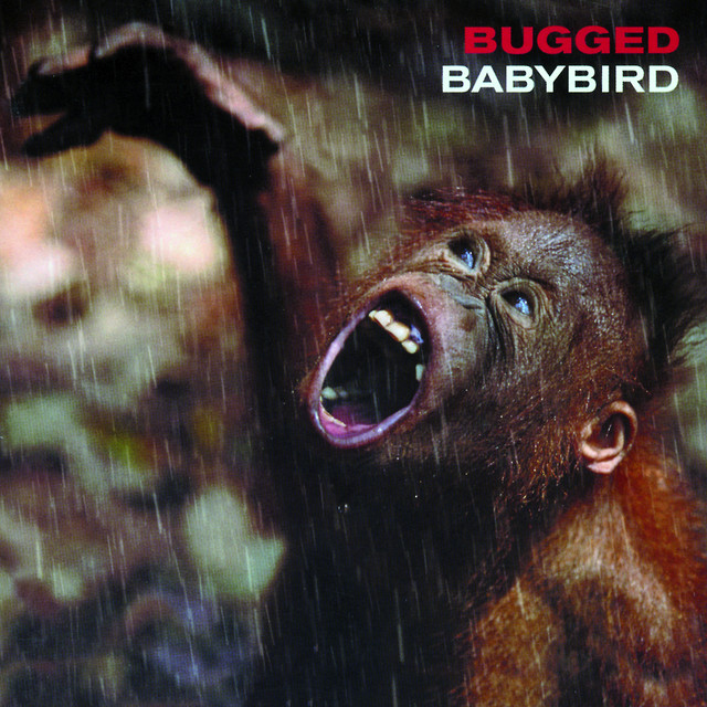 Bugged album cover