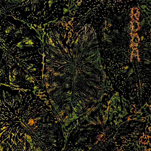 RODA album cover