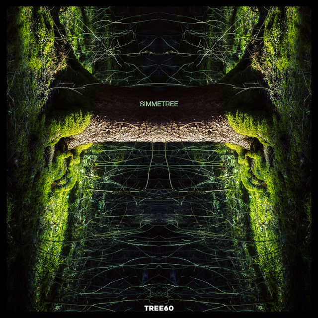 Simmetree album cover