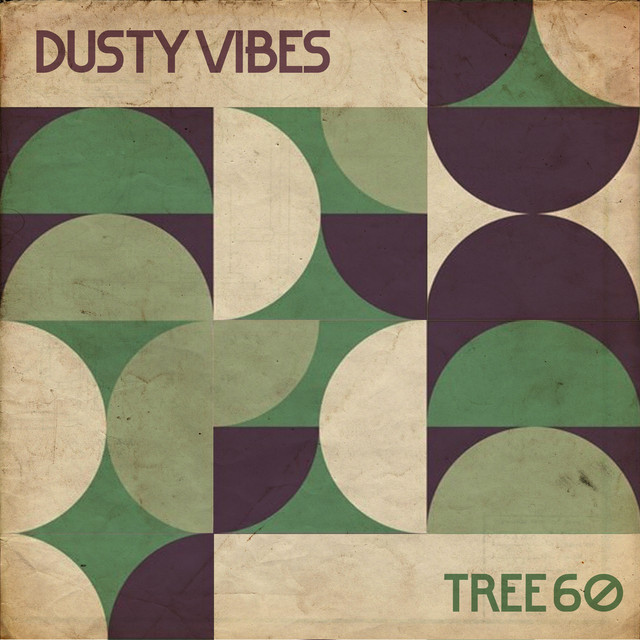 Dusty Vibes album cover