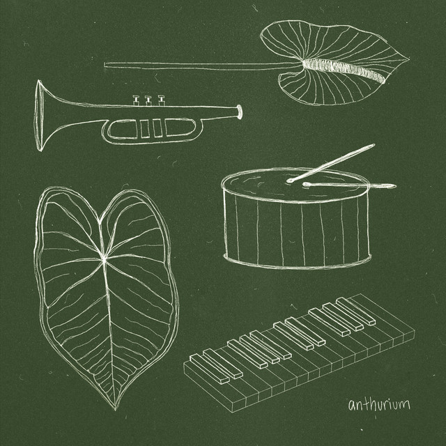 Anthurium