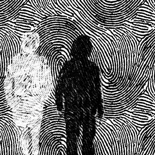 Brume album cover