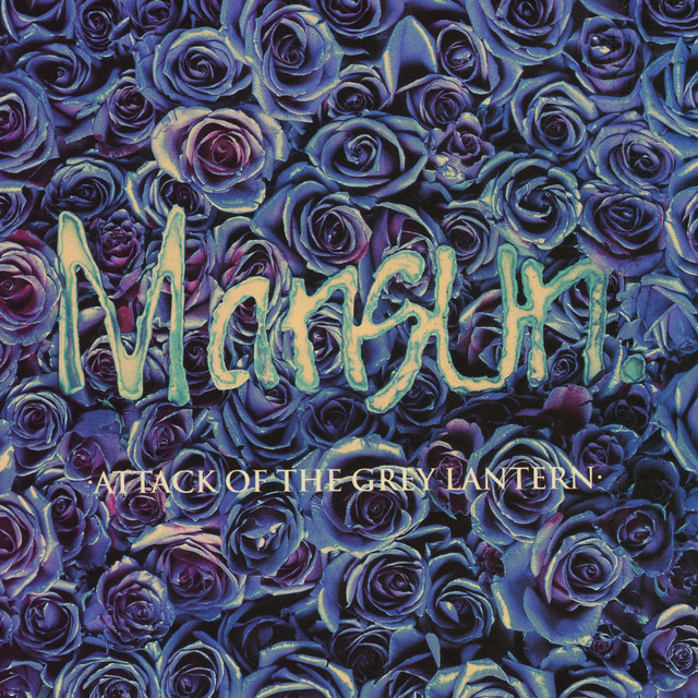 Mesa/Boogie Mark III Amplifier as heard on Attack of the Grey Lantern by Mansun (1997)