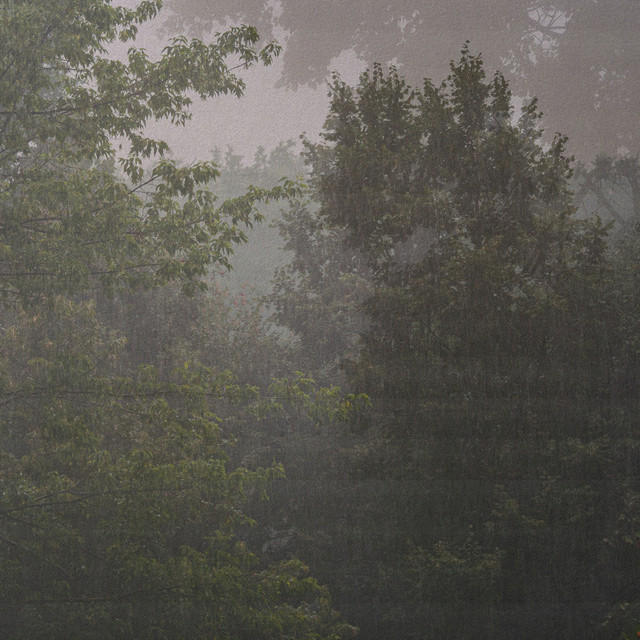 let it rain