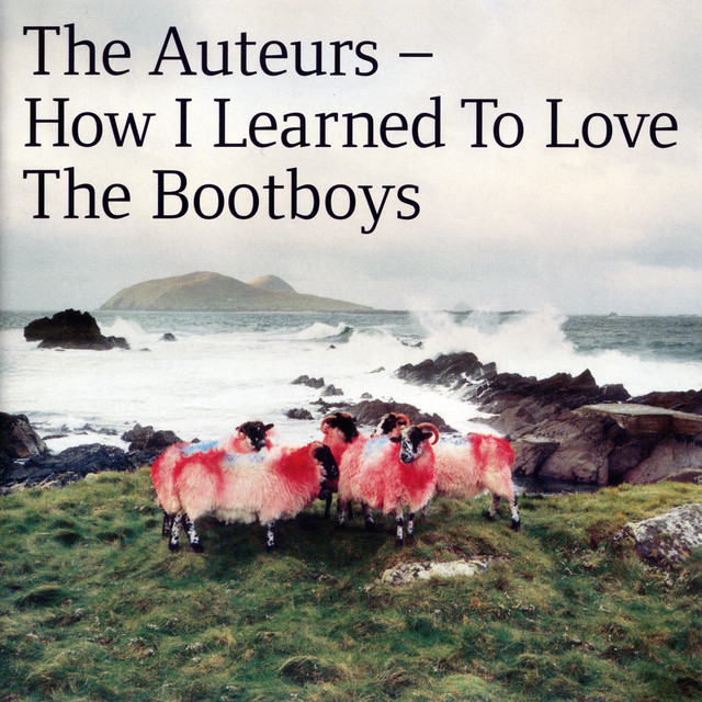 How I Learned To Love The Bootboys album cover