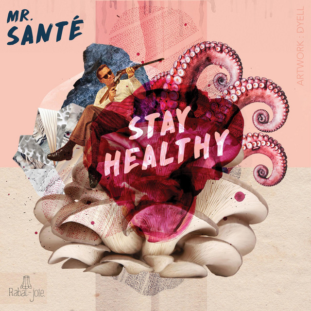 Stay Healthy album cover