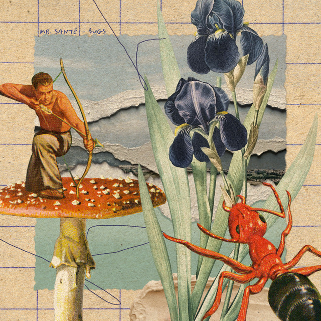 Bugs album cover