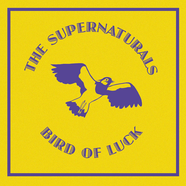 Bird of Luck album cover
