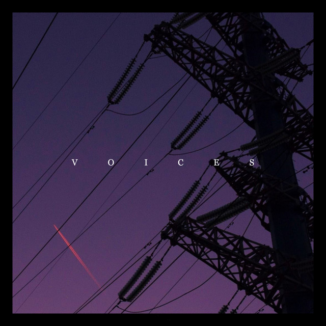 Voices album cover