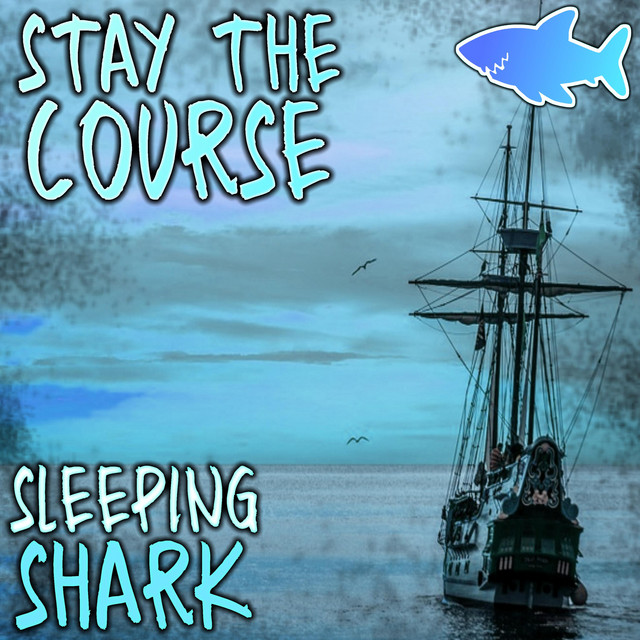 Stay The Course album cover