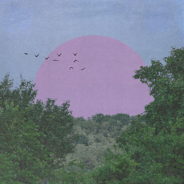 Dreams & Trees album cover