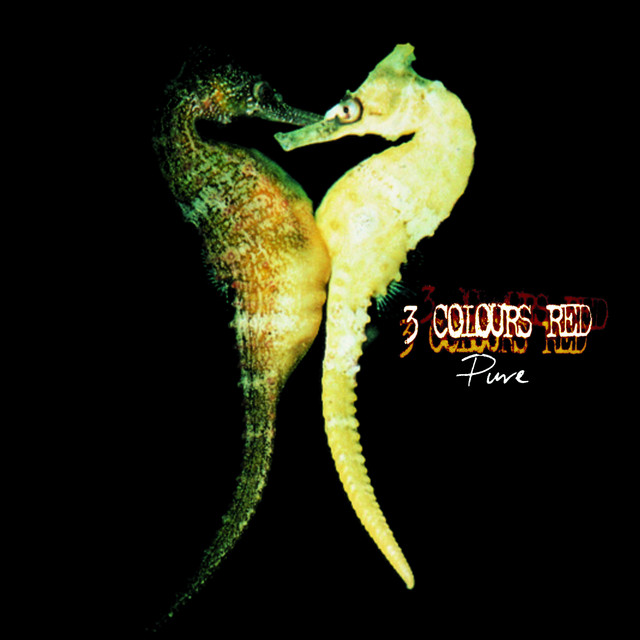 Pure album cover
