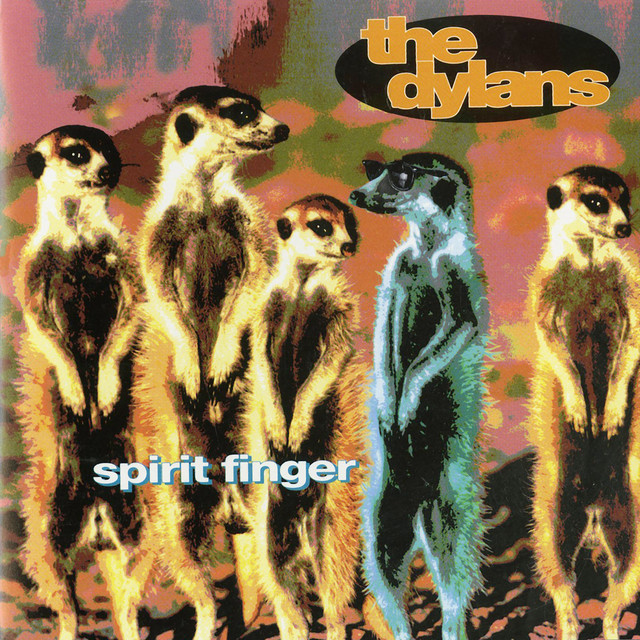 Spirit Finger album cover
