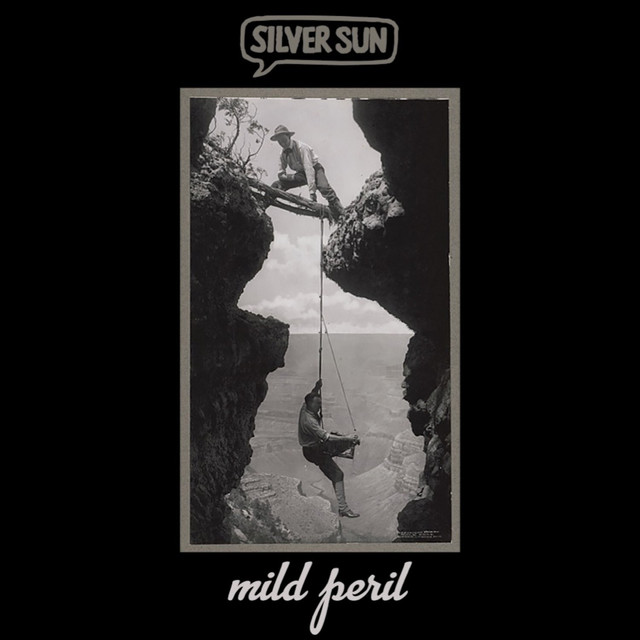 Mild Peril album cover