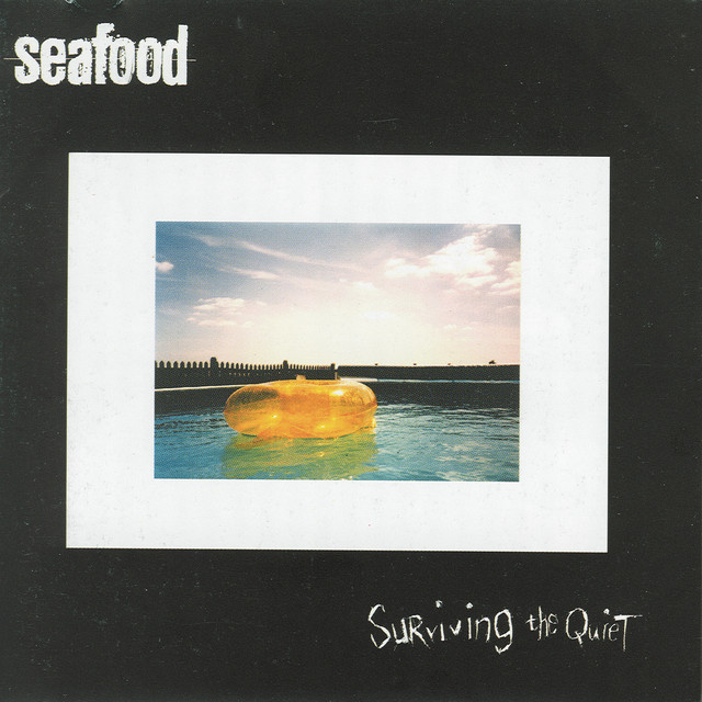 Surviving The Quiet album cover