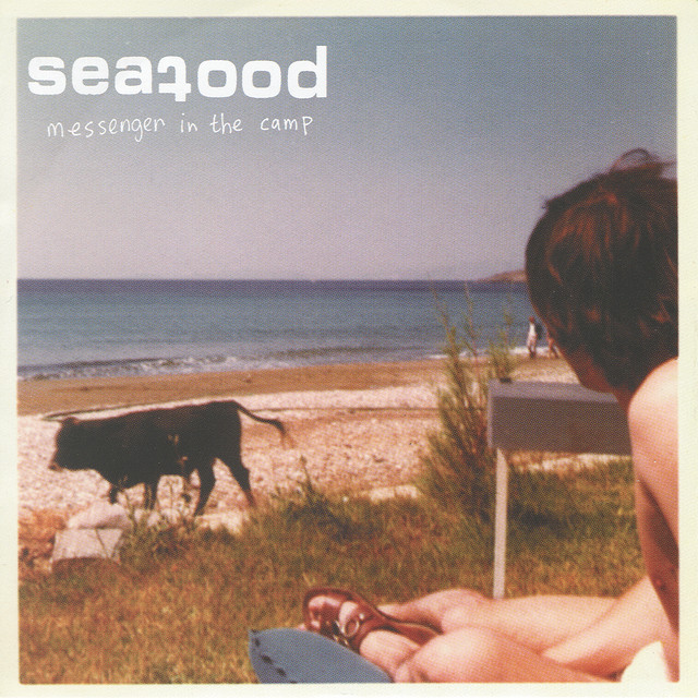 Messenger In The Camp album cover