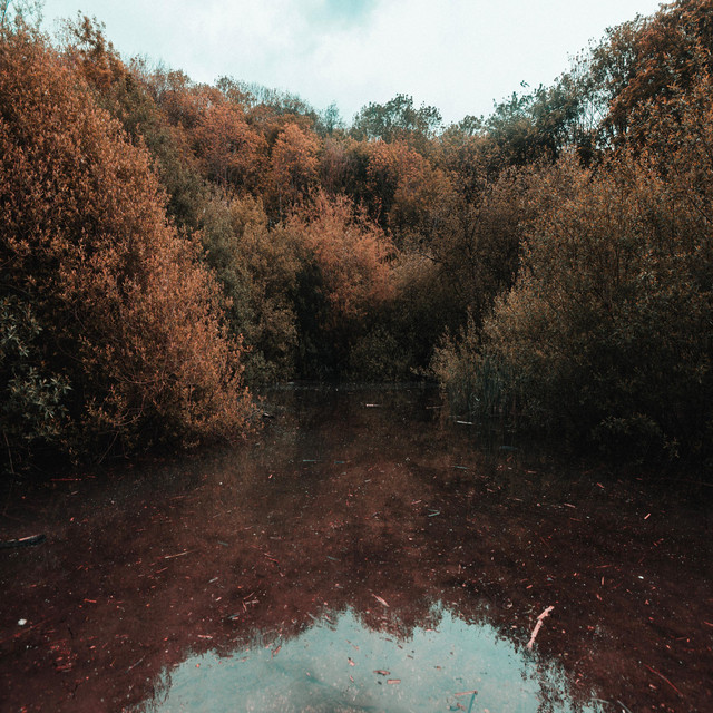 Solitude album cover