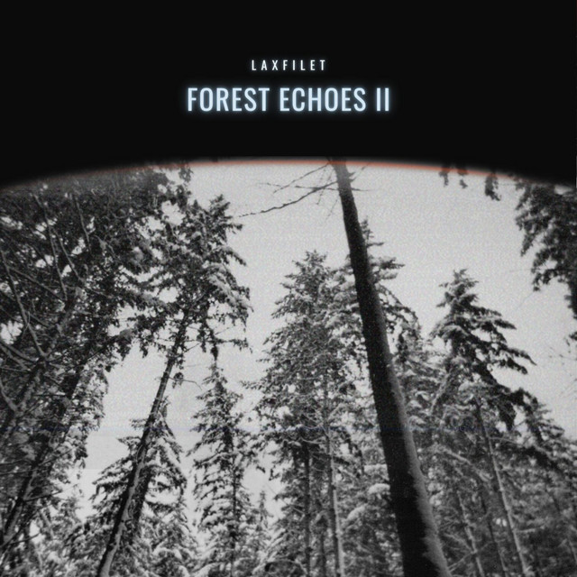 Forest Echoes II album cover