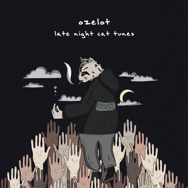 Late Night Cat Tunes album cover