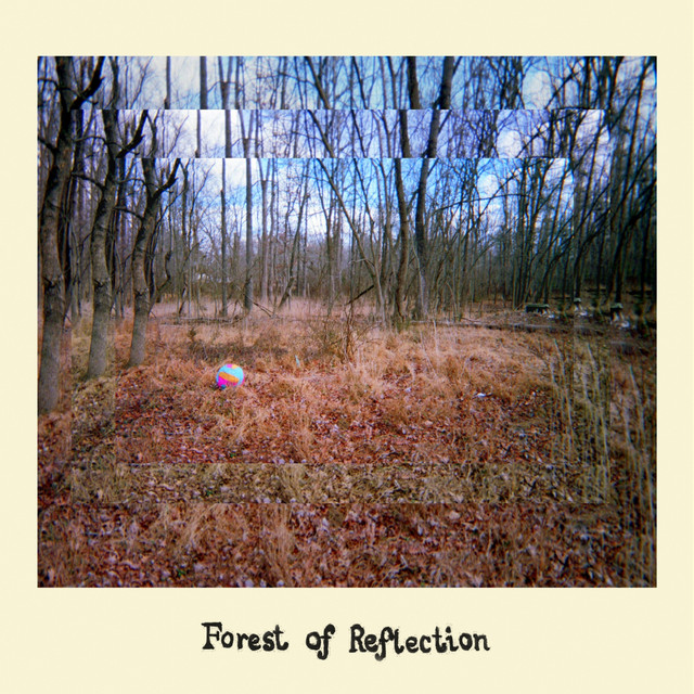 Forest of Reflection album cover