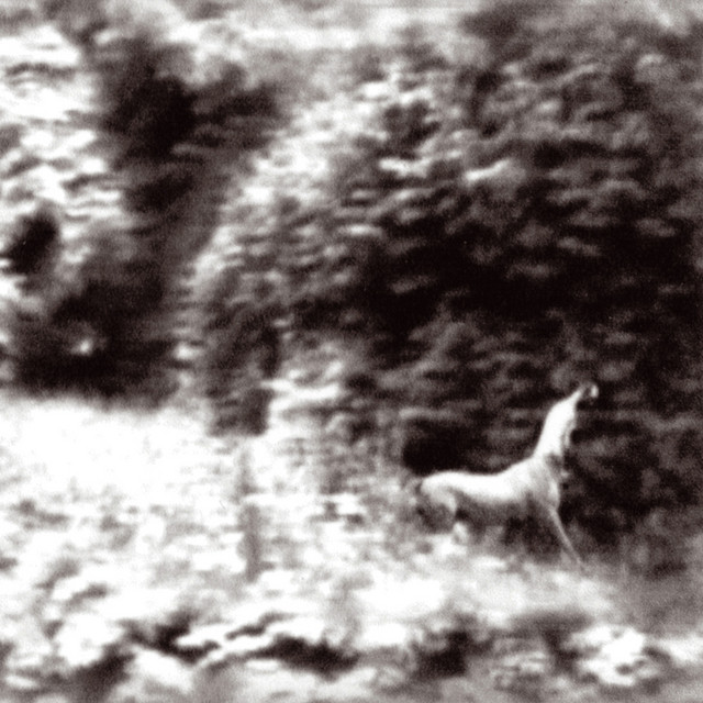 Ghost Days (Nouvelle Edition) album cover
