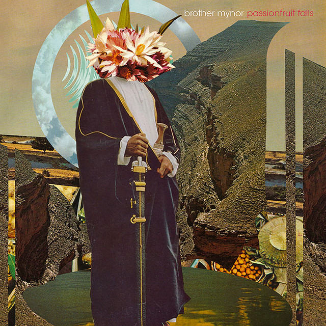 Passionfruit Falls album cover
