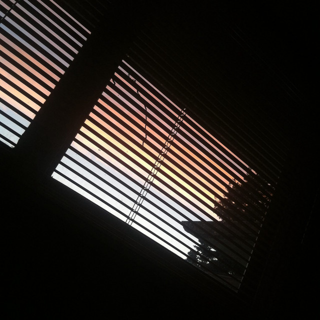 L;oops album cover