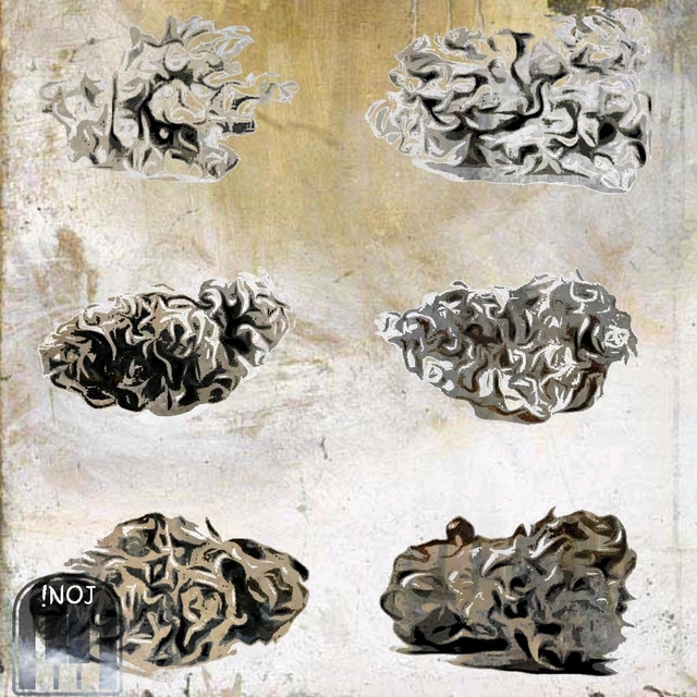 strains album cover