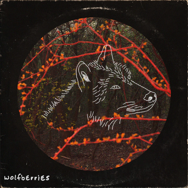Wolfberries album cover