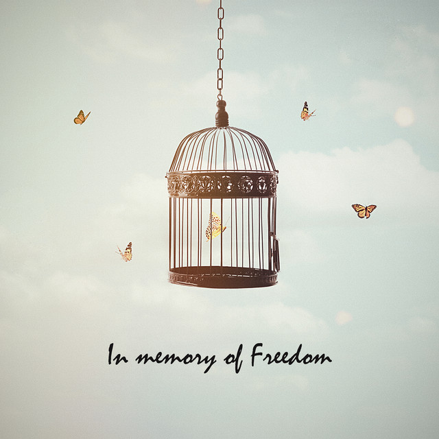 In Memory of Freedom album cover