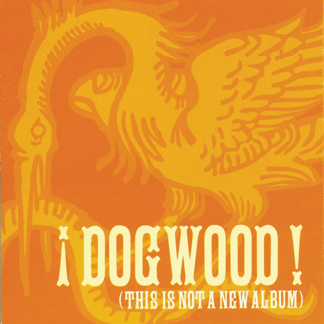 This Is Not a New Album album cover