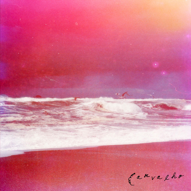 I Can't Wander So I'm Lost album cover