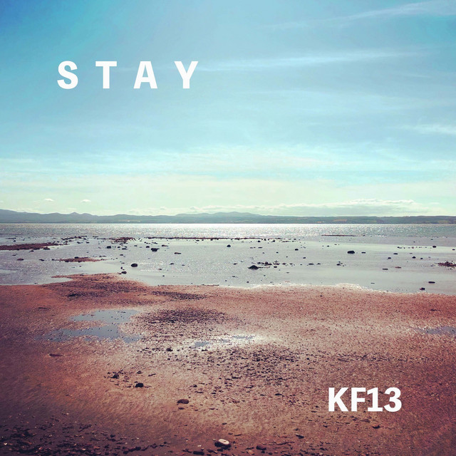 STAY album cover