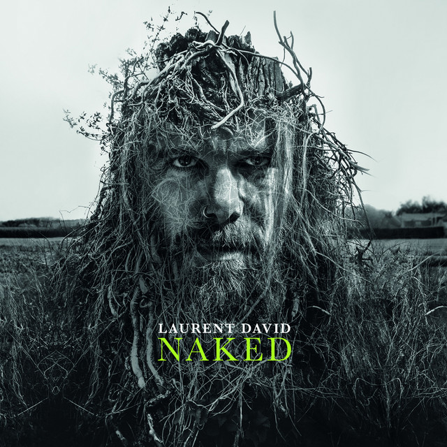 Naked album cover