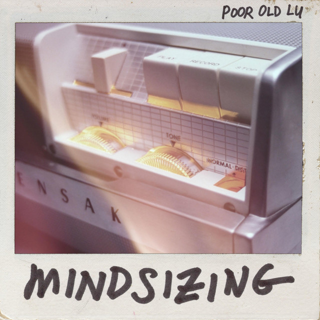 Mindsizing album cover