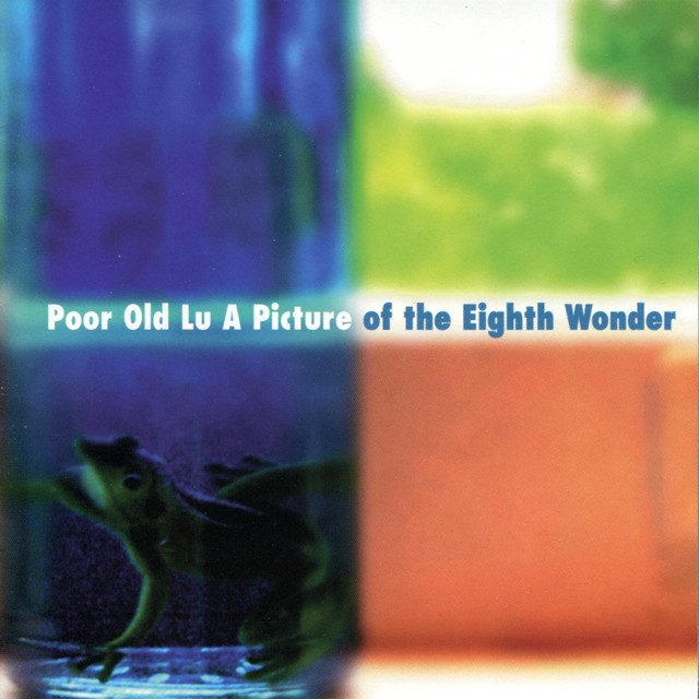 A Picture of the Eighth Wonder album cover