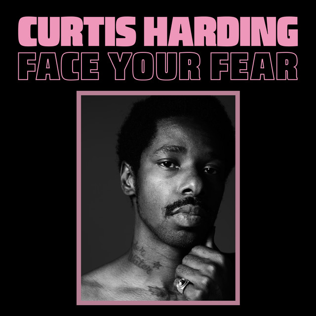 Face Your Fear album cover