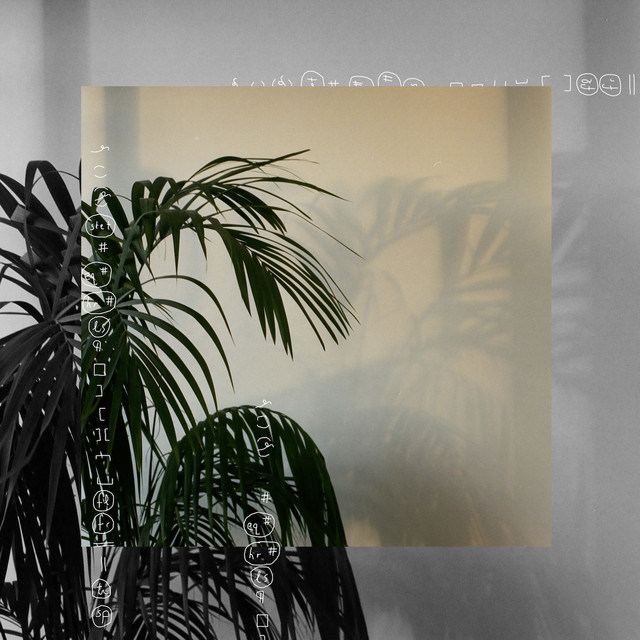 Musings album cover